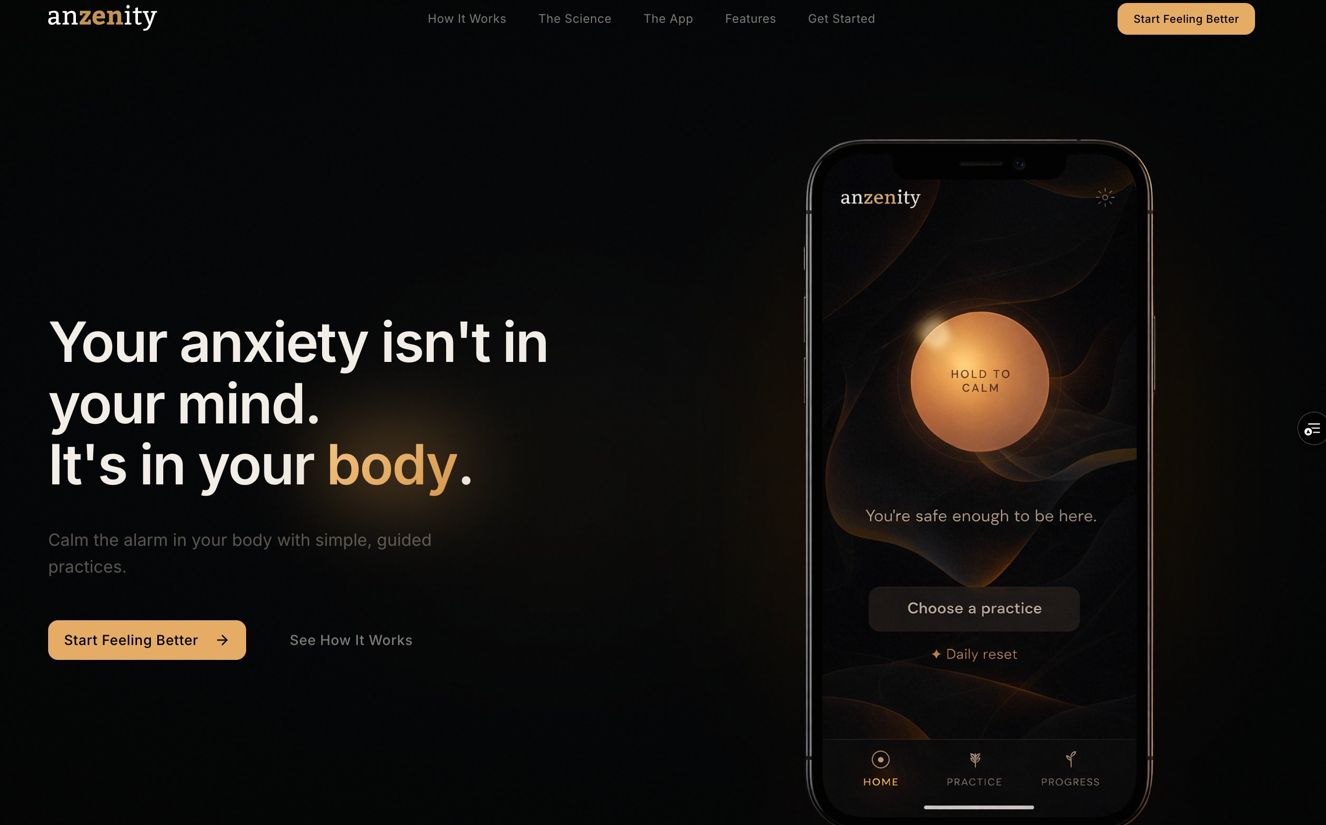 Anzenity screenshot